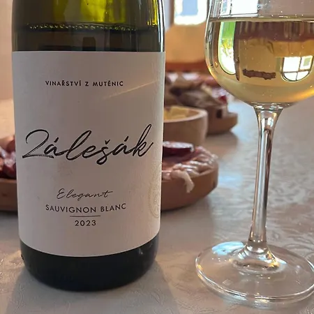 Vinarstvi Zalesak Mutěnice